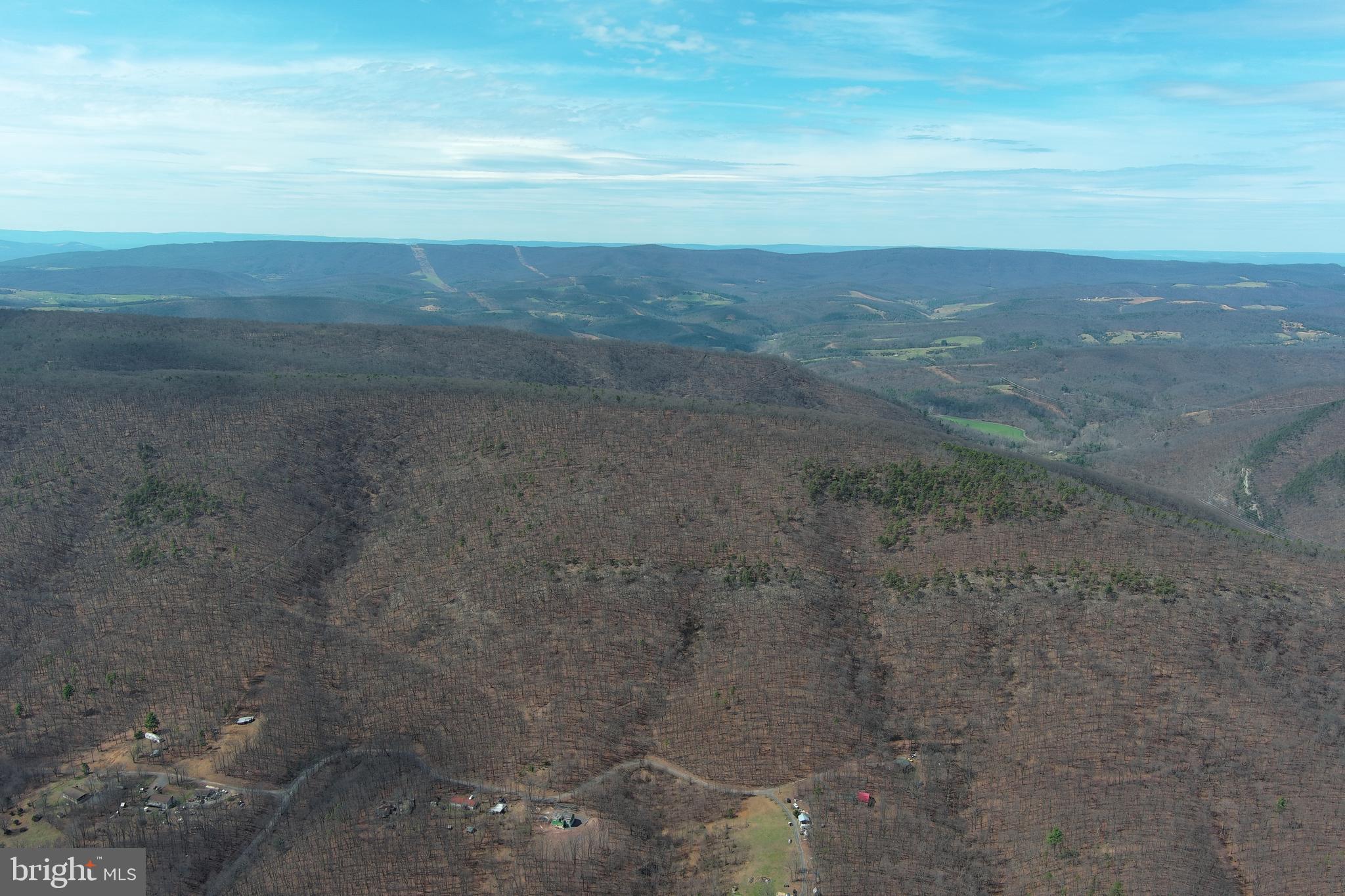 181 Deer Run Road Baker, WV 26801 - Photo 47 of 71 a view of a dry yard with wooden floor