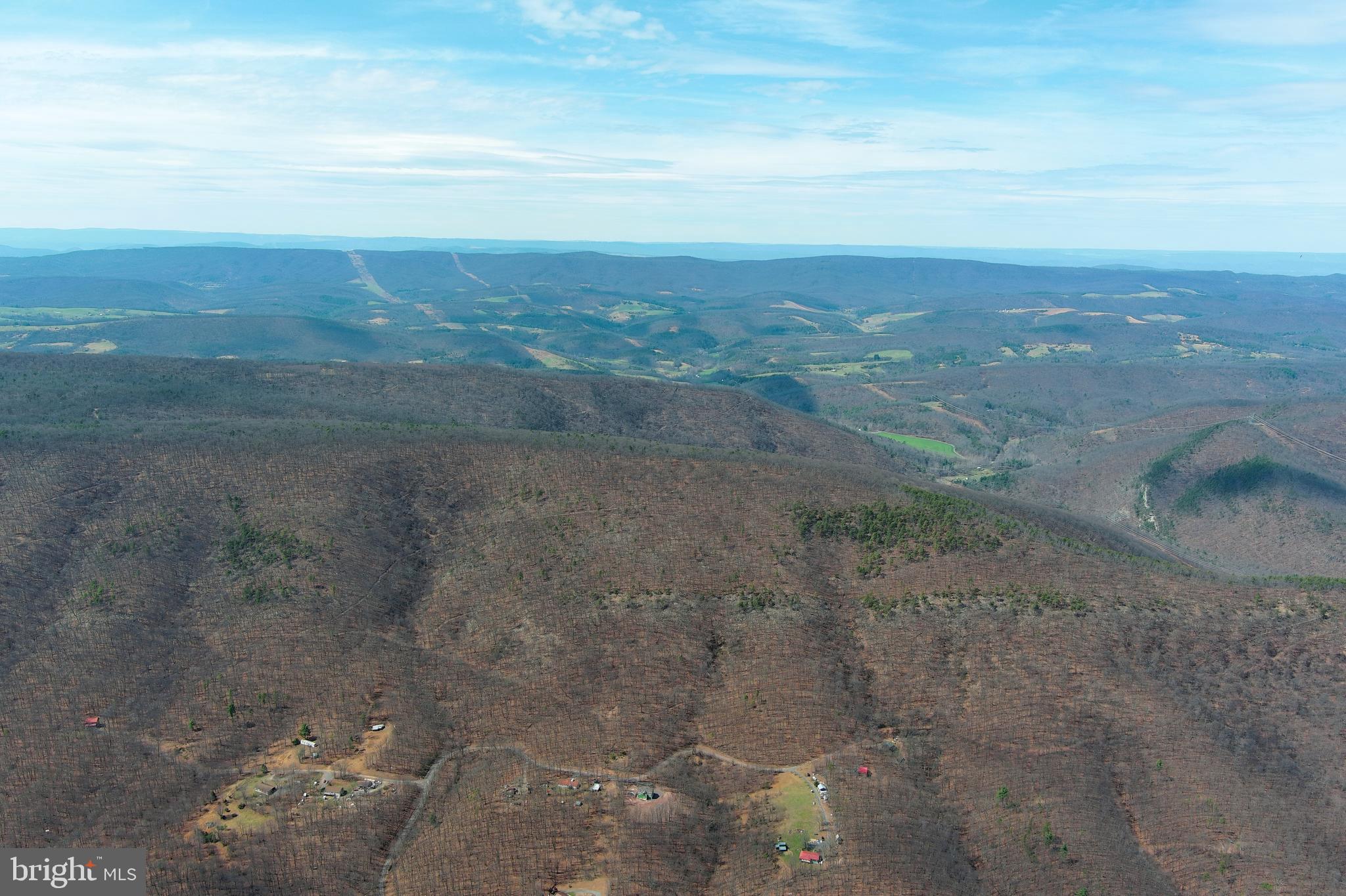 181 Deer Run Road Baker, WV 26801 - Photo 50 of 71 a view of a big yard with lots of trees
