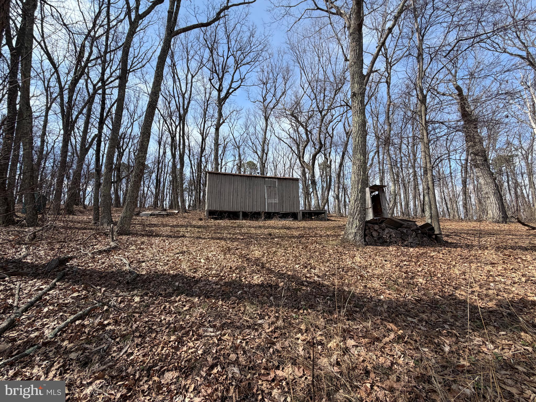 181 Deer Run Road Baker, WV 26801 - Photo 6 of 71 a view of a backyard with large trees