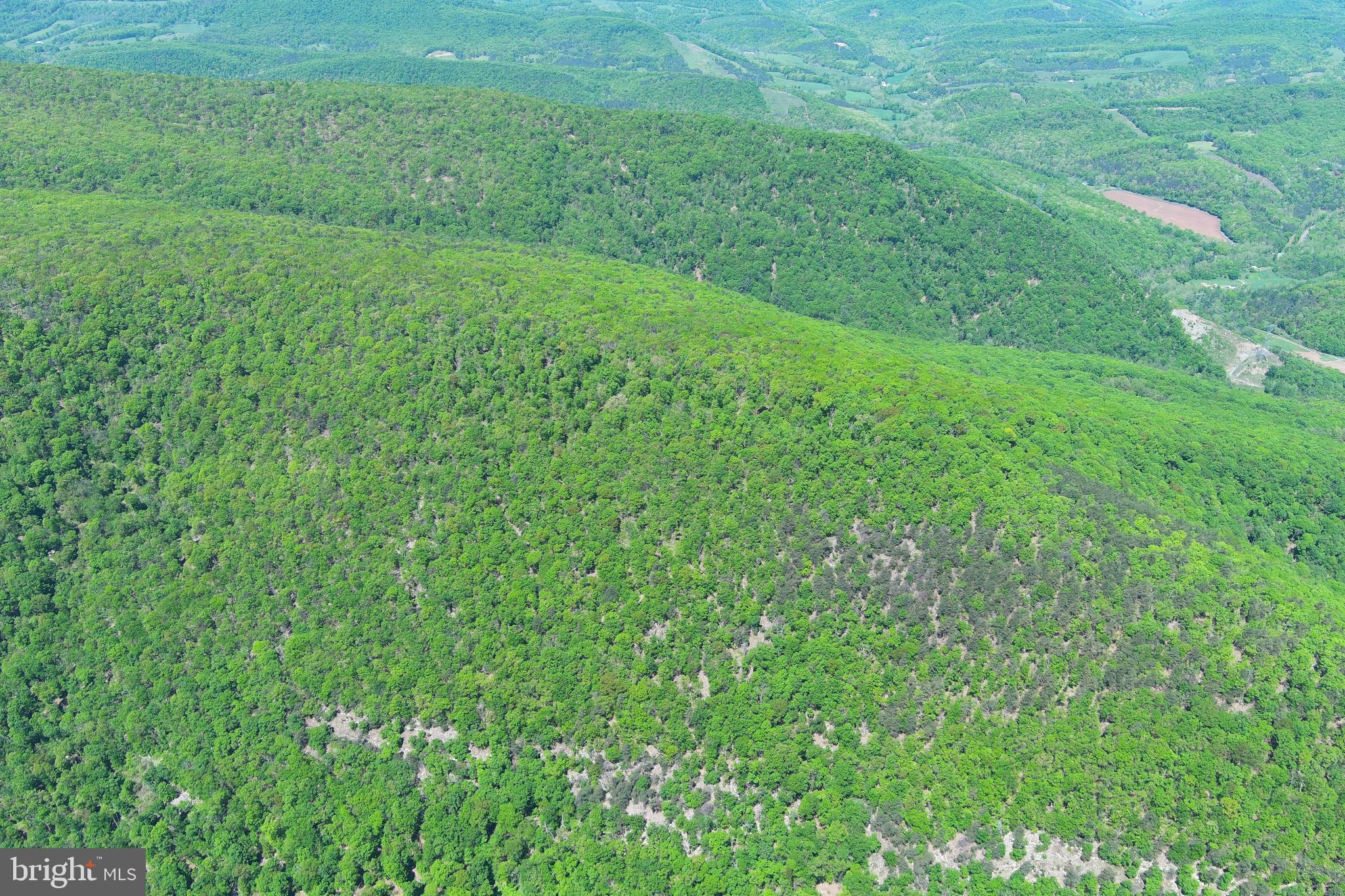 181 Deer Run Road Baker, WV 26801 - Photo 62 of 71 a view of a lush green space
