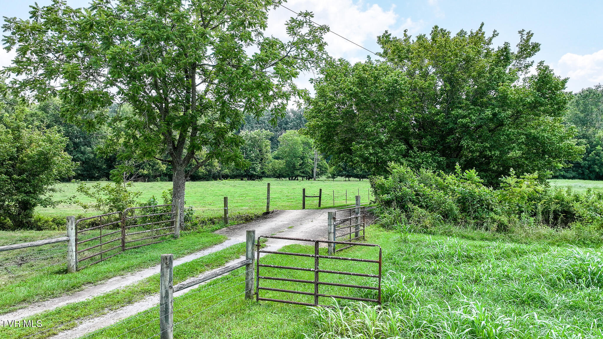 2130 Old Jonesboro Road Chuckey, TN 37641 - Photo 6 of 102 5