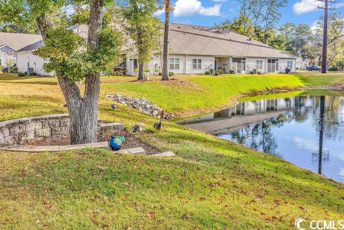 185 Sea Shell Drive Murrells Inlet, SC 29576 - Photo 28 of 34