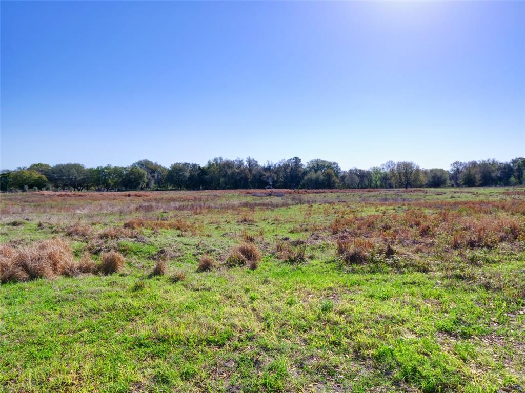 0 614a Bushnell, FL 33513 - Photo 15 of 19 a view of outdoor space with deck and yard