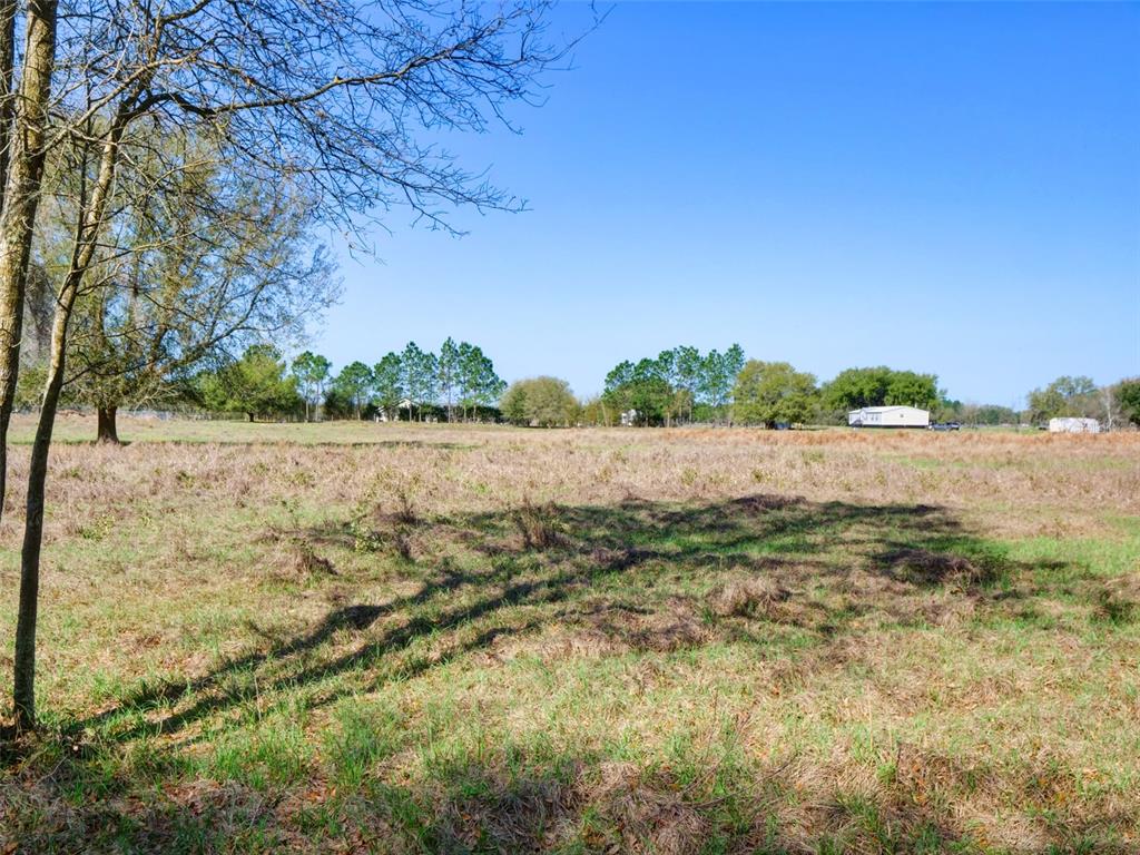 0 614a Bushnell, FL 33513 - Photo 16 of 19 a view of a yard with a tree