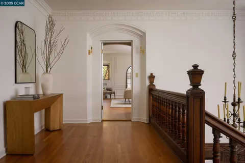 a view of a yard with plants