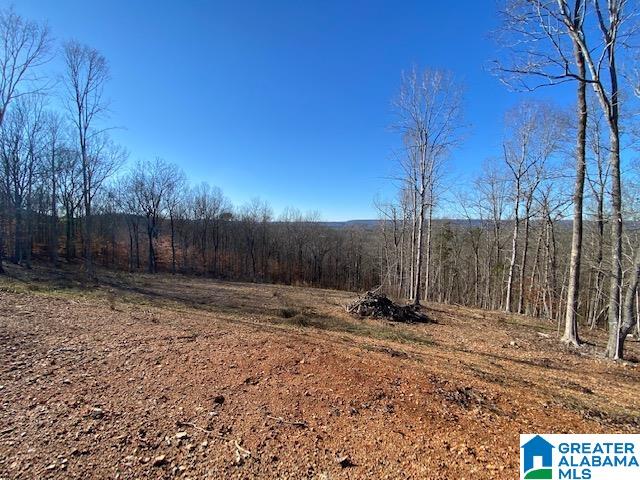414 Stone Ridge, Unit 5 AND 6 Springville, AL 35146 - Photo 17 of 20