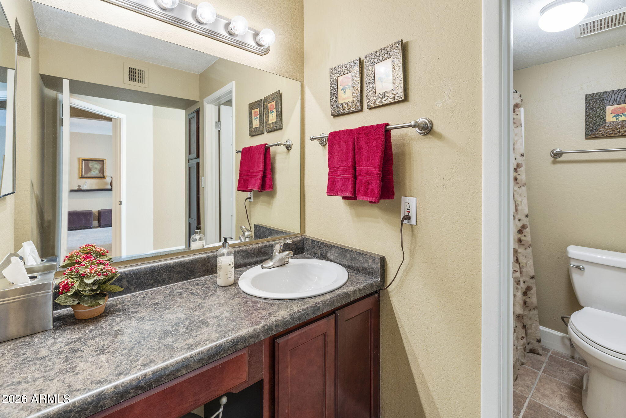 3825 East Camelback Road, Unit 126 Phoenix, AZ 85018 - Photo 15 of 28 a bathroom with a sink vanity mirror and toilet
