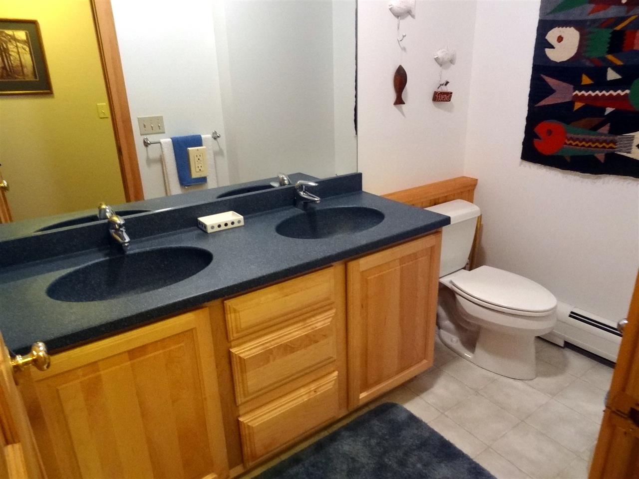 2231 Belmont Road Mount Holly, VT 05730 - Photo 28 of 40 Gallery Image 28