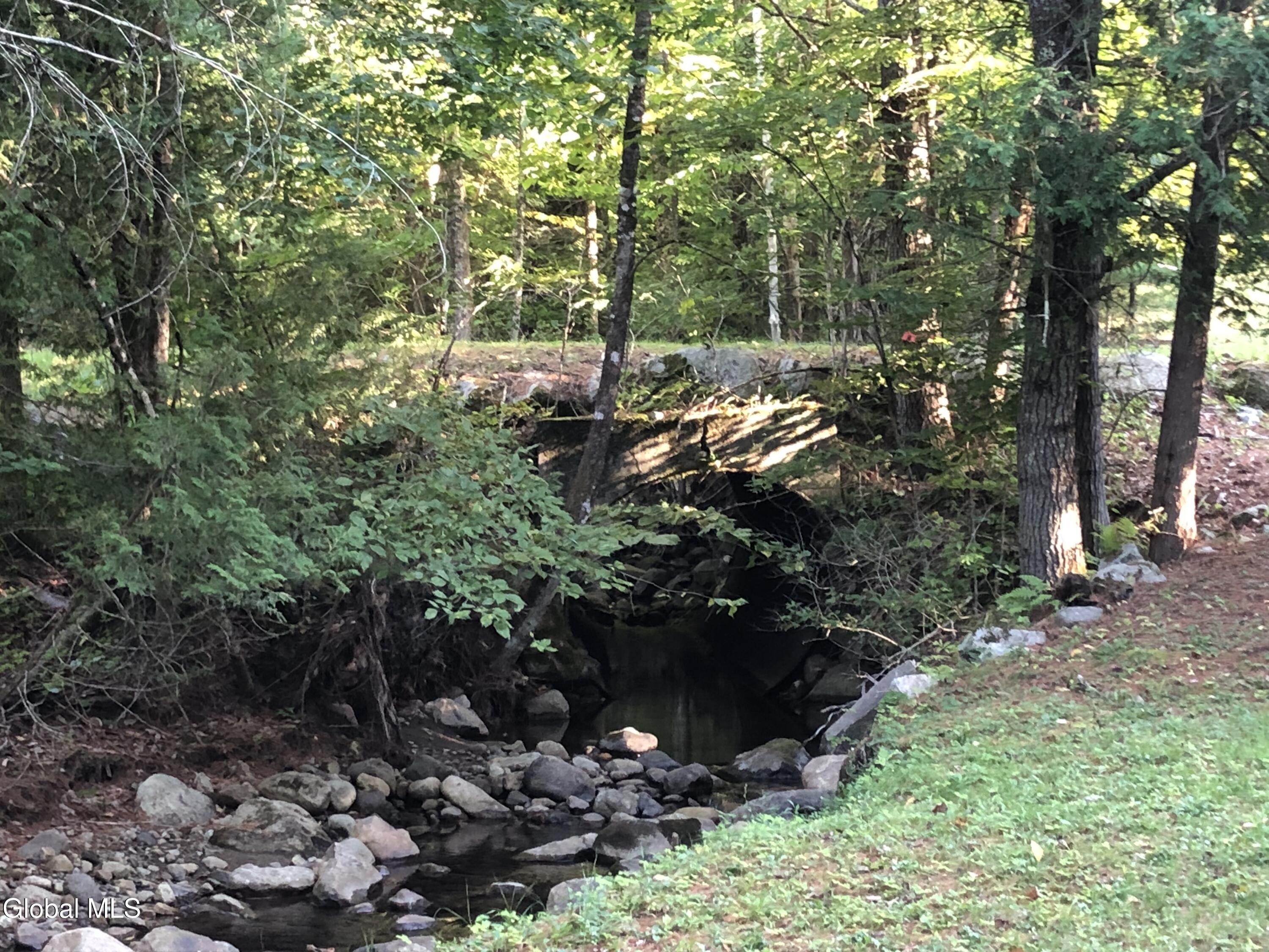 5509 Lincoln Pond Road, Unit LOT 2 Elizabethtown, NY 12932 - Photo 59 of 83 IMG_1348