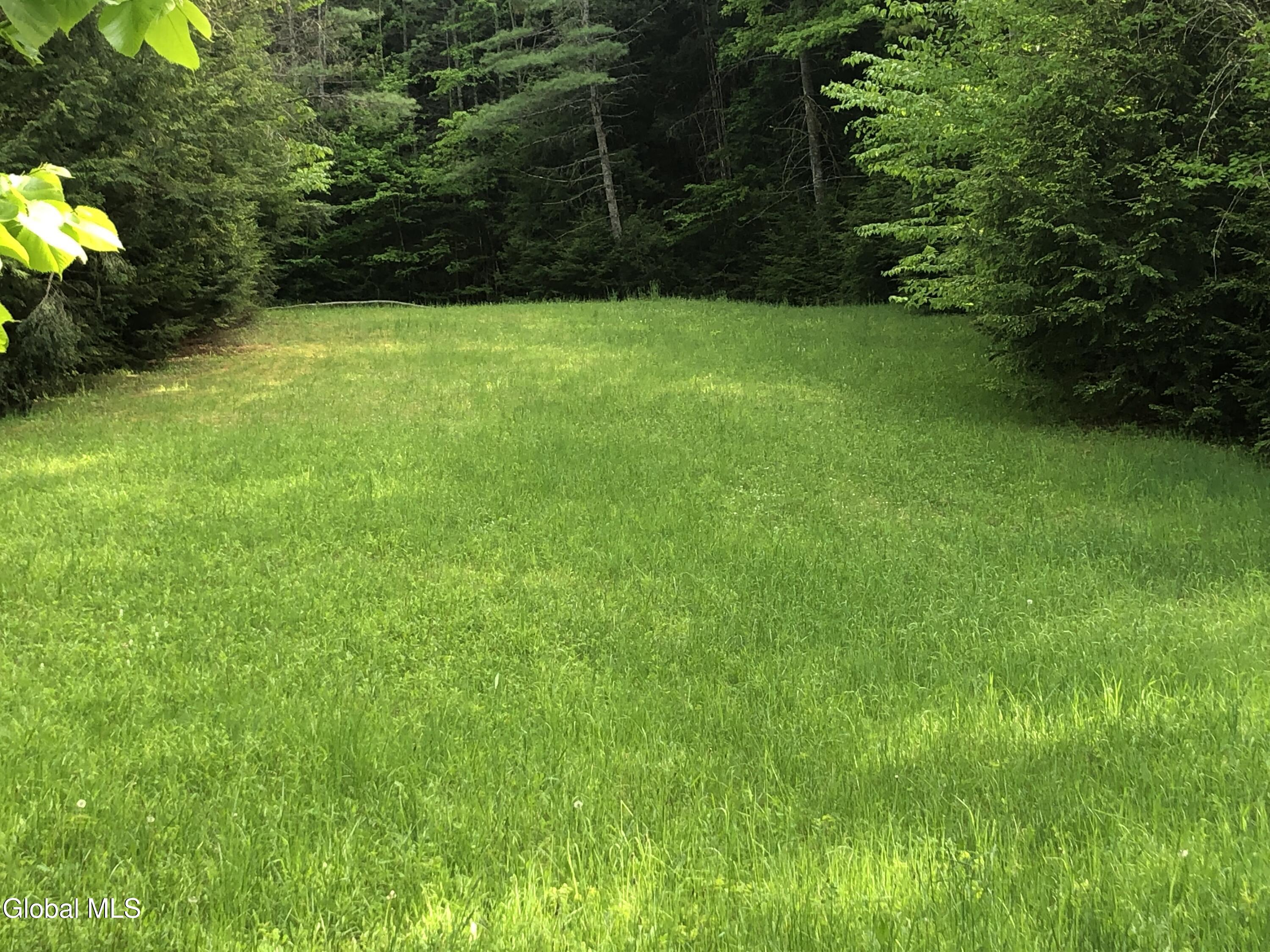 5509 Lincoln Pond Road, Unit LOT 2 Elizabethtown, NY 12932 - Photo 60 of 83 IMG_8438