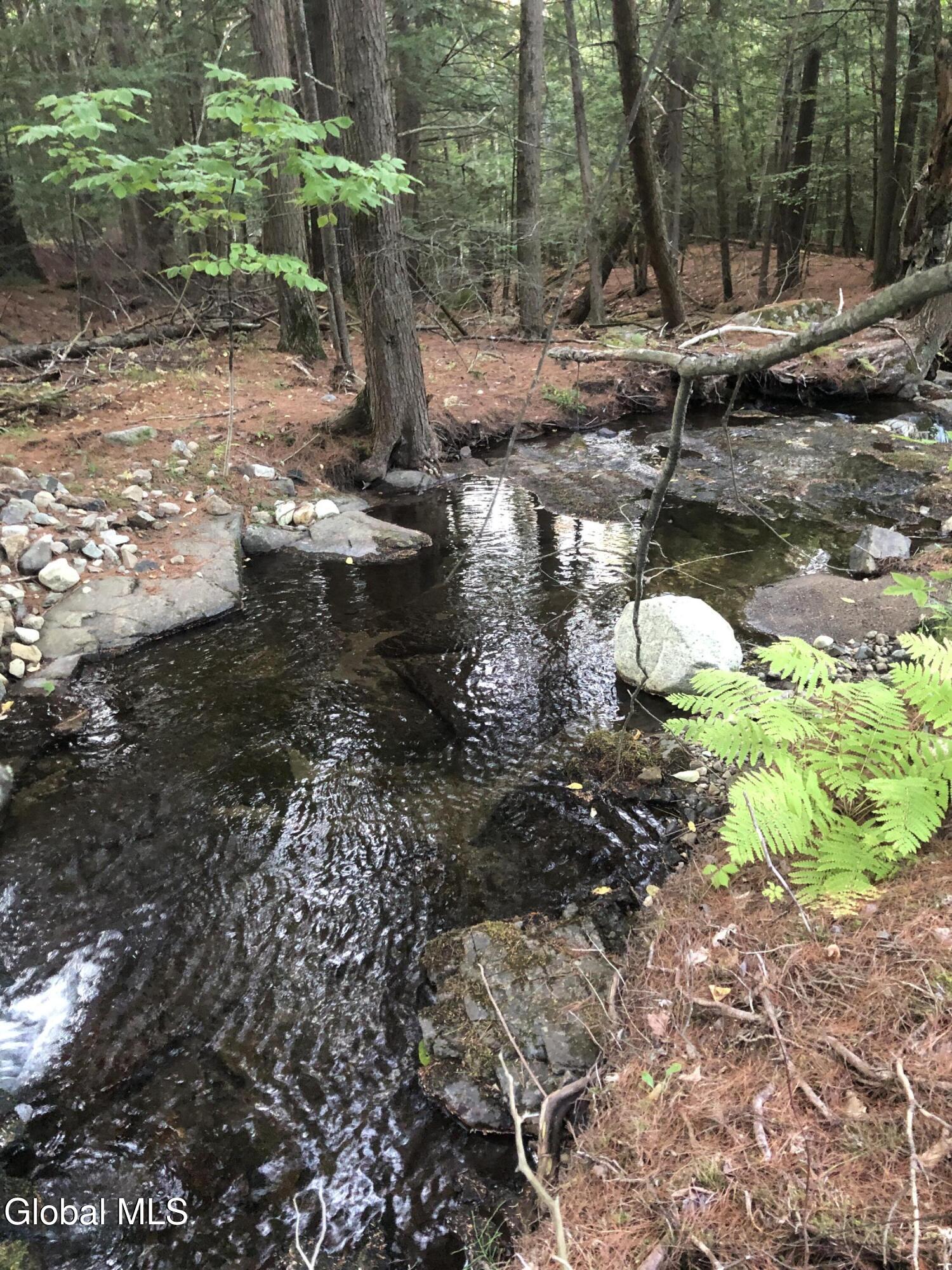 5509 Lincoln Pond Road, Unit LOT 2 Elizabethtown, NY 12932 - Photo 62 of 83 IMG_1376