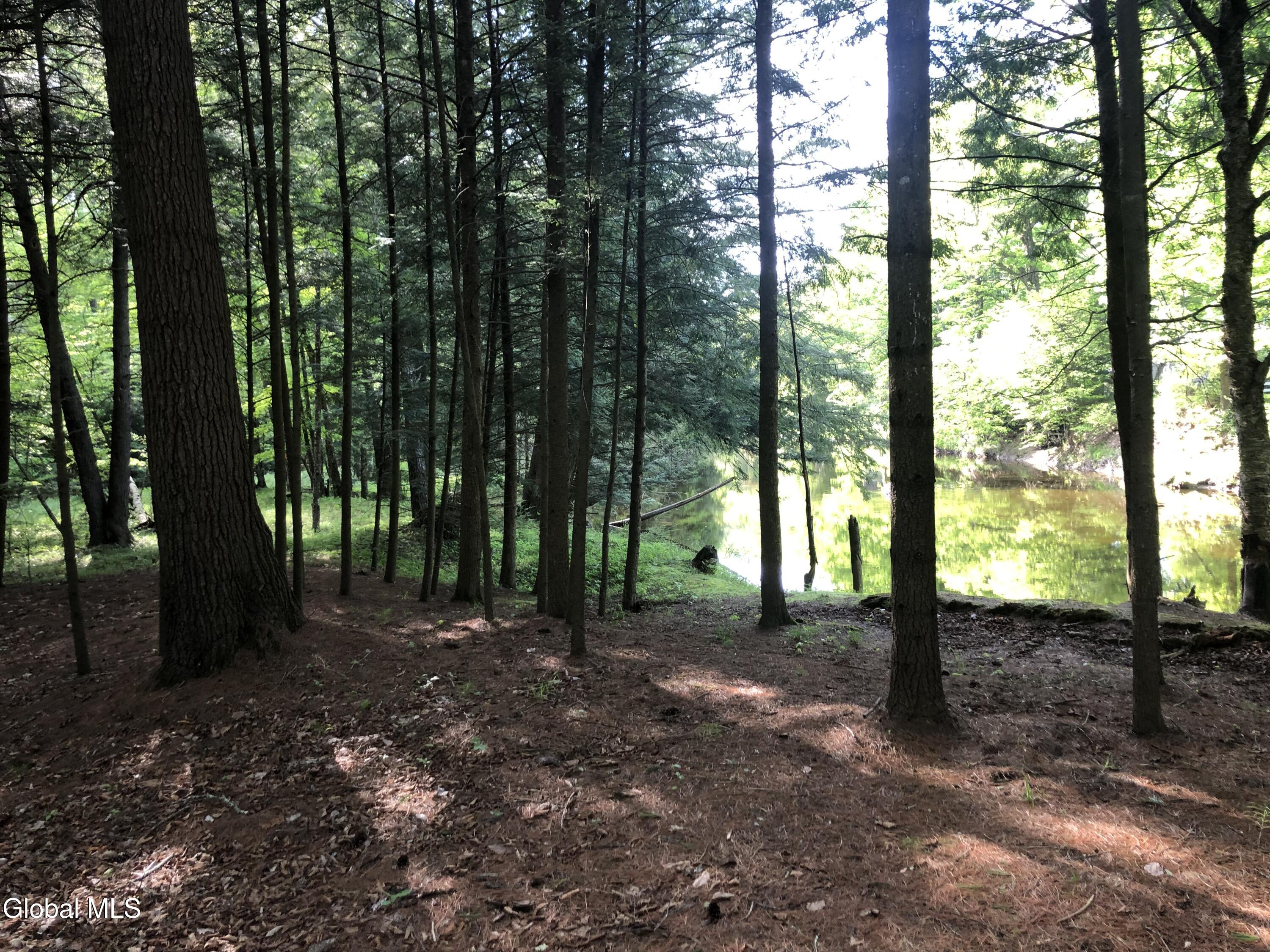 5509 Lincoln Pond Road, Unit LOT 2 Elizabethtown, NY 12932 - Photo 80 of 83 IMG_8446