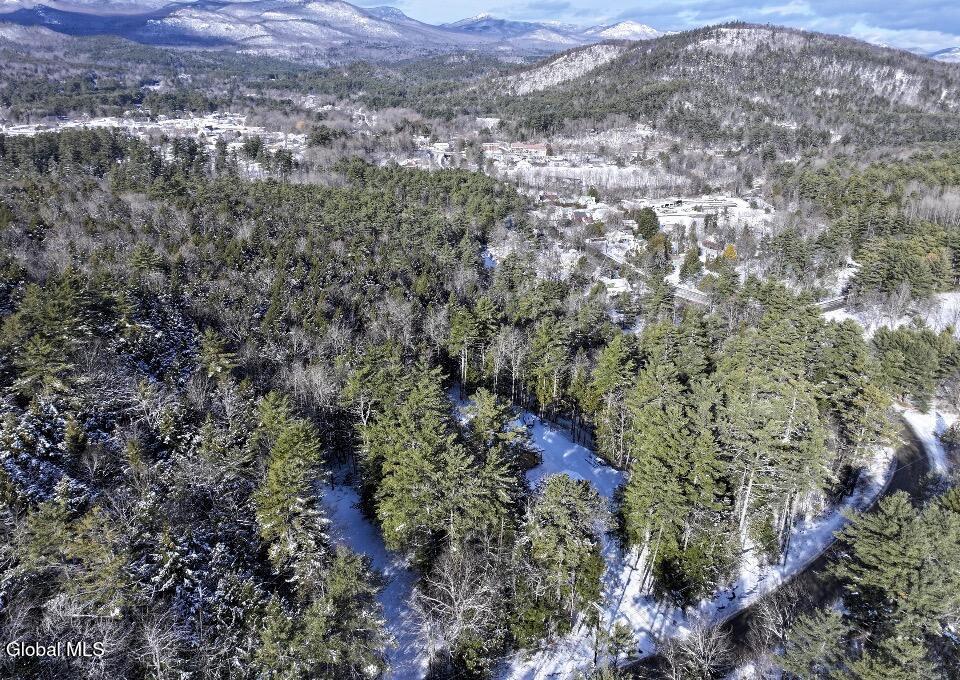 5509 Lincoln Pond Road, Unit LOT 2 Elizabethtown, NY 12932 - Photo 83 of 83 IMG_2077