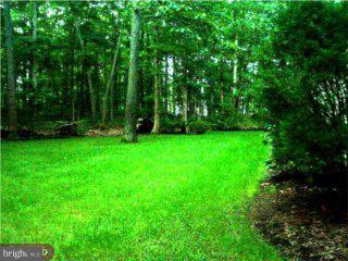 125 Strawberry Drive Shamong, NJ 08088 - Photo 4 of 5