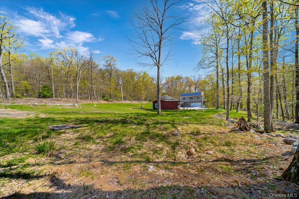 80 Jones Road Pine Bush, NY 12566 - Photo 42 of 44