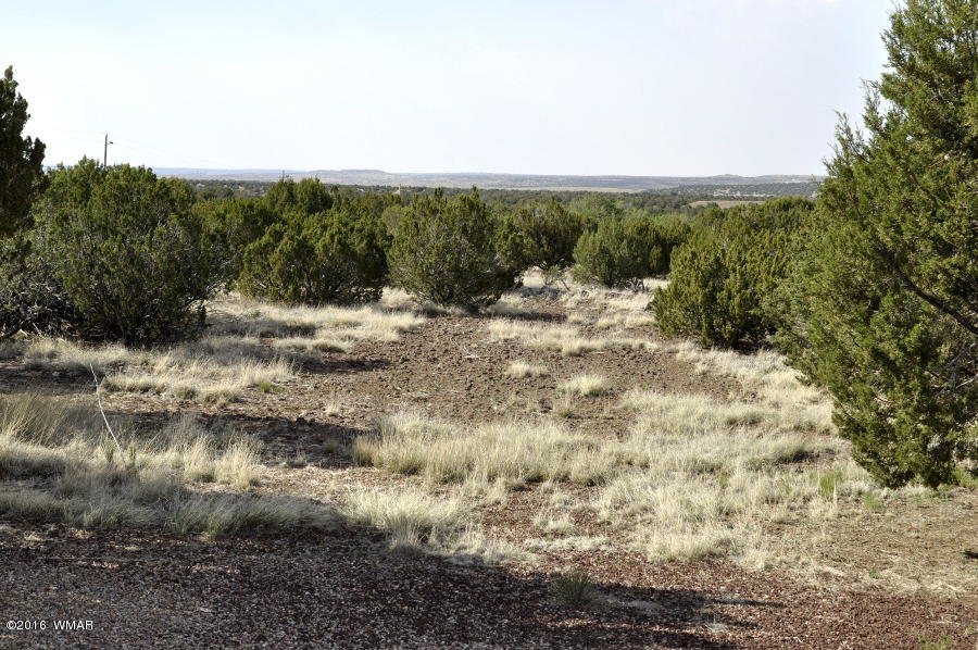 8110 Well Road Show Low, AZ 85901 - Photo 19 of 26 Gallery Image 19