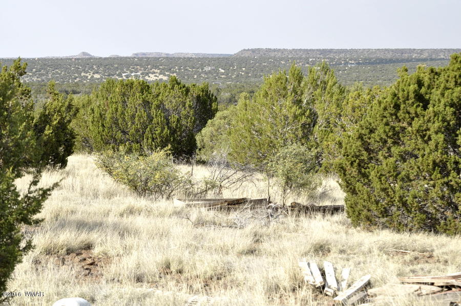 8110 Well Road Show Low, AZ 85901 - Photo 25 of 26 Gallery Image 25