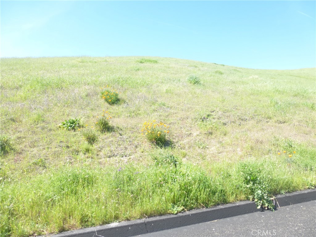 0 Douglas Road San Miguel, CA 93451 - Photo 15 of 75