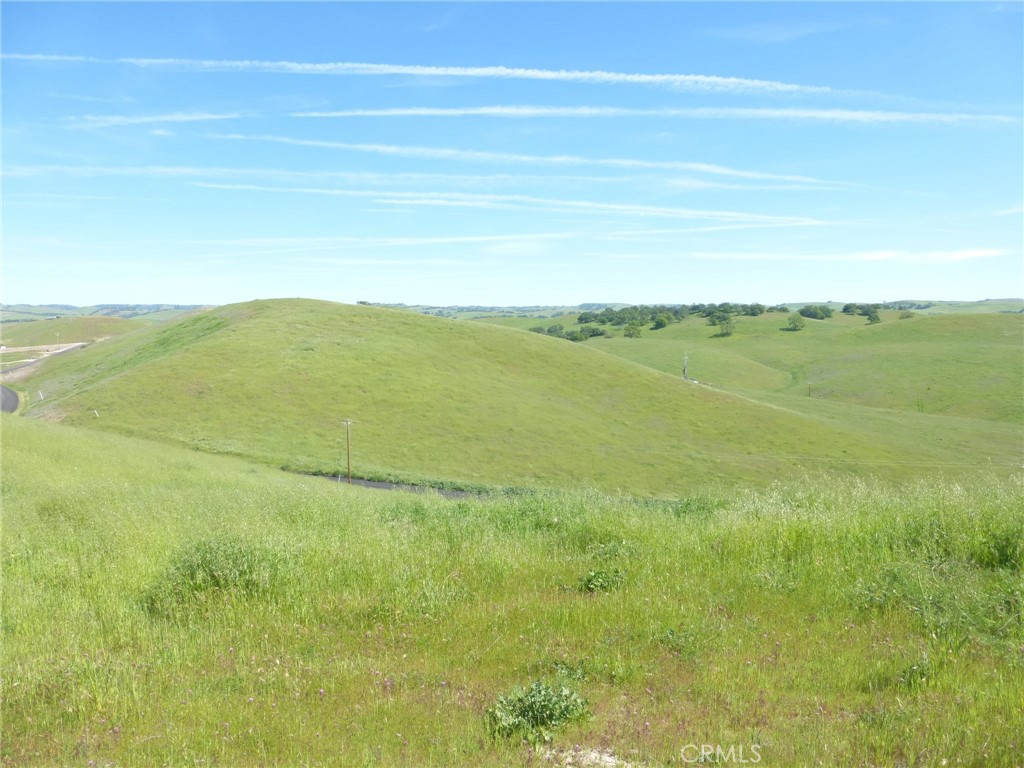 0 Douglas Road San Miguel, CA 93451 - Photo 29 of 75