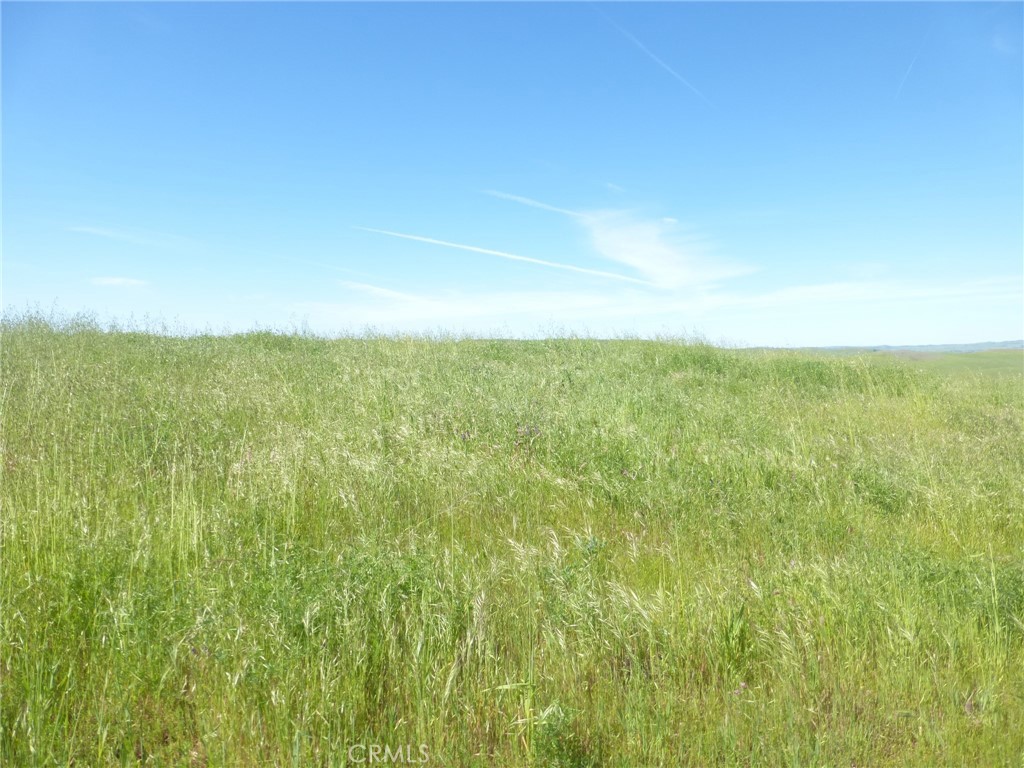 0 Douglas Road San Miguel, CA 93451 - Photo 48 of 75