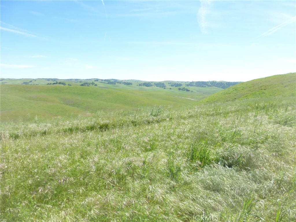 0 Douglas Road San Miguel, CA 93451 - Photo 53 of 75