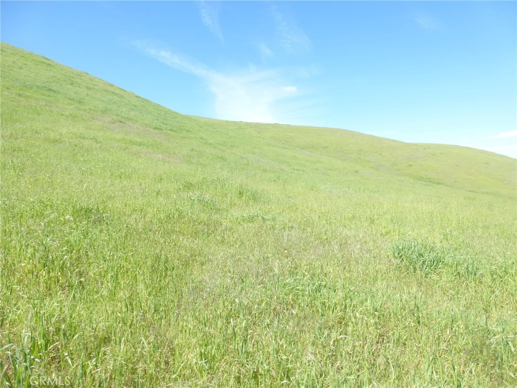 0 Douglas Road San Miguel, CA 93451 - Photo 68 of 75