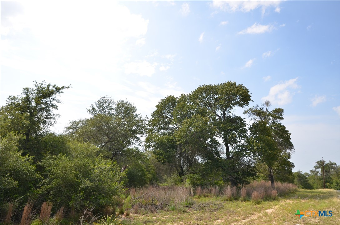 Lot 66 Powder Ridge Luling, TX 78648 - Photo 9 of 14