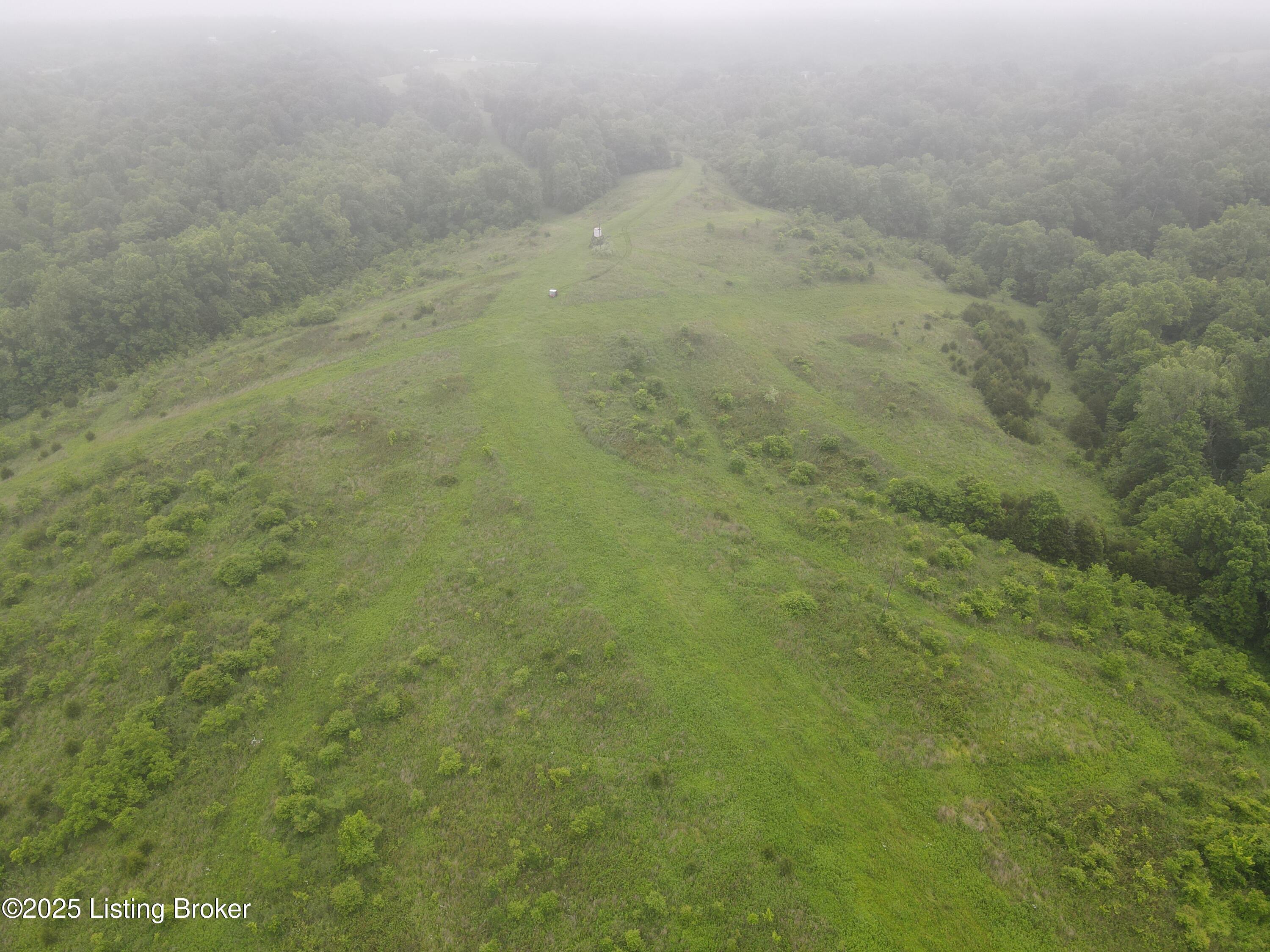 84-ac Long Road Lawrenceburg, KY 40342 - Photo 6 of 15 6