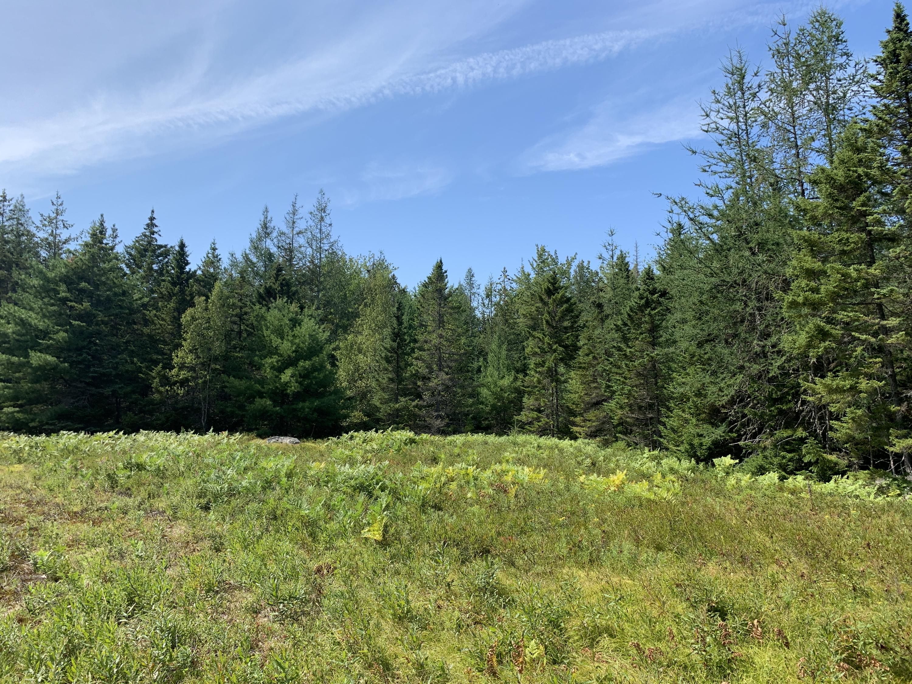 Lot 9 Arrowhead Road Bar Harbor, ME 04609 - Photo 1 of 5 IMG_9240