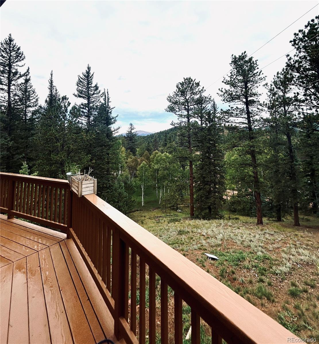 33751 Nova Road Pine, CO 80470 - Photo 4 of 23 Gallery Image 4