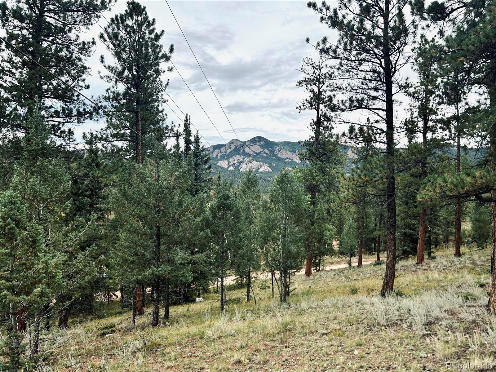 33751 Nova Road Pine, CO 80470 - Photo 6 of 23 Gallery Image 6