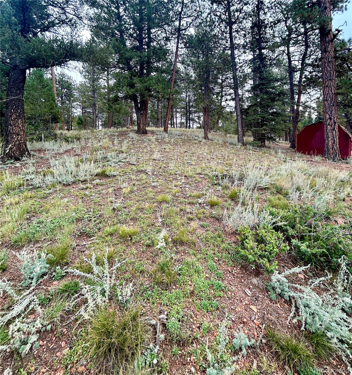 33751 Nova Road Pine, CO 80470 - Photo 7 of 23 Gallery Image 7