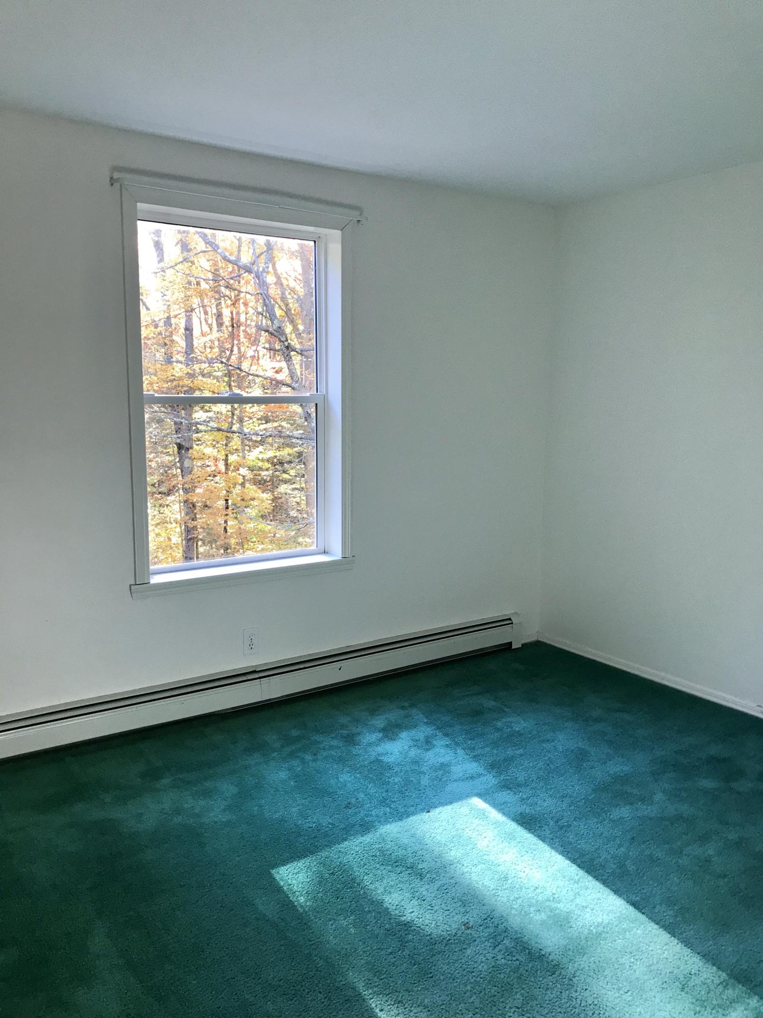 87 Brooks Road Union, ME 04862 - Photo 15 of 32 IMG_4549