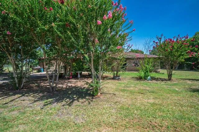 a view of a backyard with a garden and trees