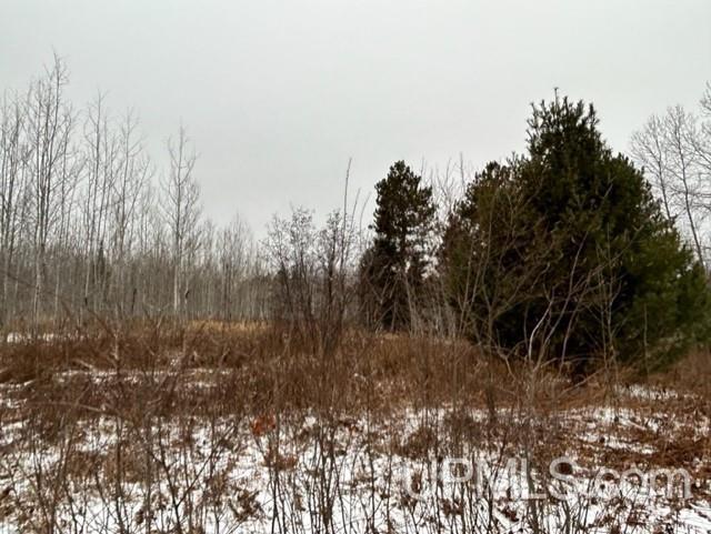 Tbd4 Larson Road Atlantic Mine, MI 49905 - Photo 7 of 41 Gallery Image 7