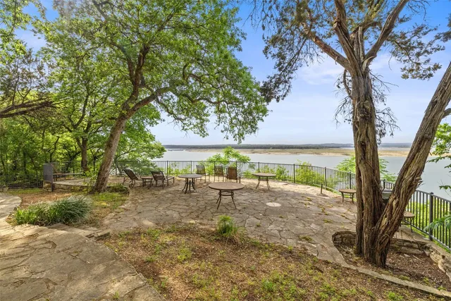 a view of a lake with a tree