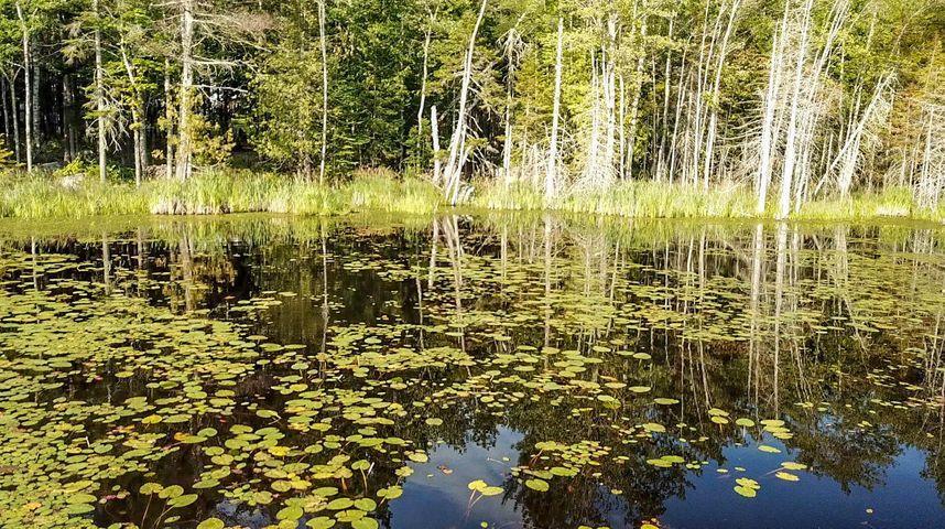 318 Birches Road Belfast, ME 04915 - Photo 61 of 62 MLS61