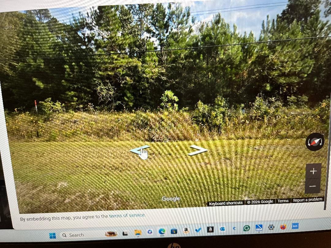 Lot 11-tbd Old Charleston Road Georgetown, SC 29440 - Photo 2 of 4