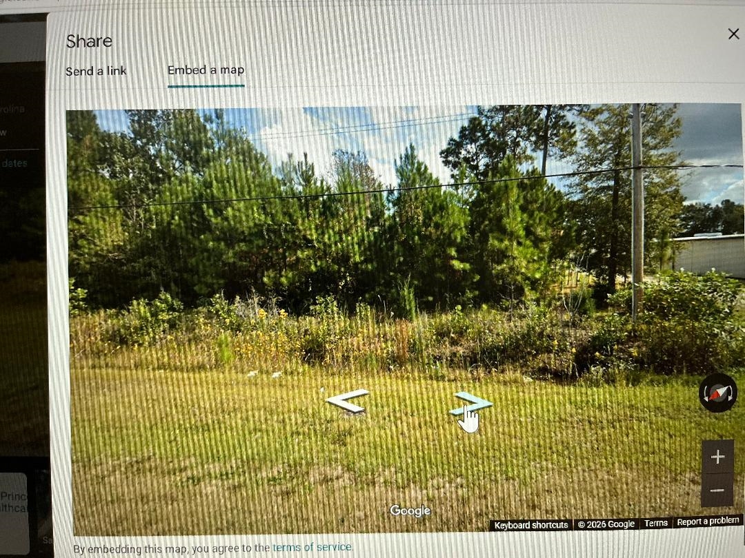 Lot 11-tbd Old Charleston Road Georgetown, SC 29440 - Photo 3 of 4