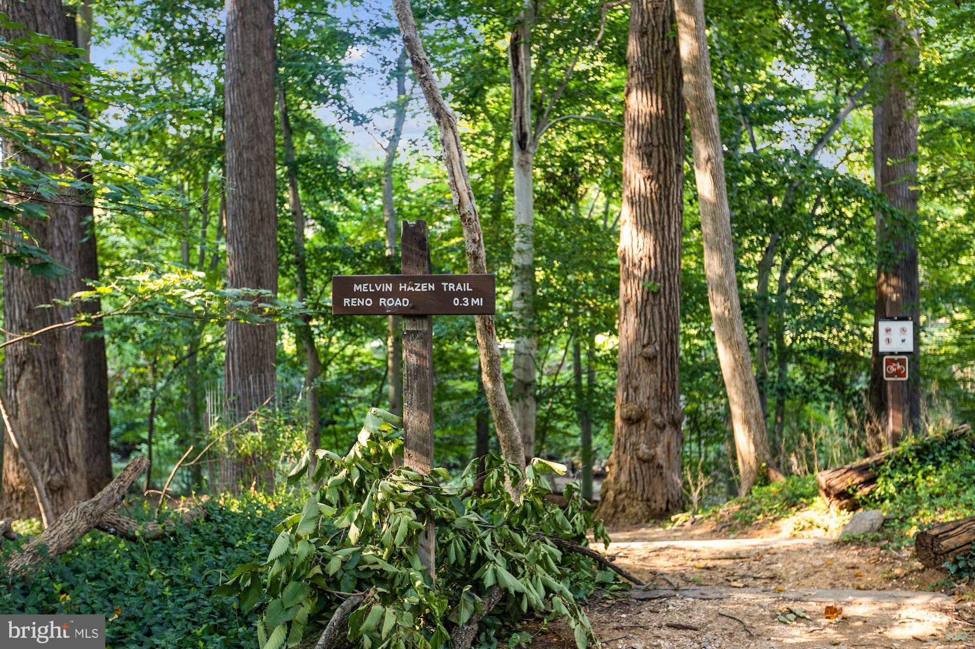 3454 Macomb Street Northwest Washington, DC 20016 - Photo 49 of 52