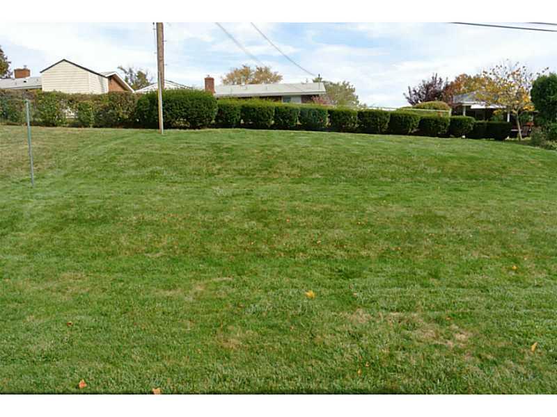 460 Orchard Spring Road Pittsburgh, PA 15220 - Photo 20 of 20 Yard/Garden.