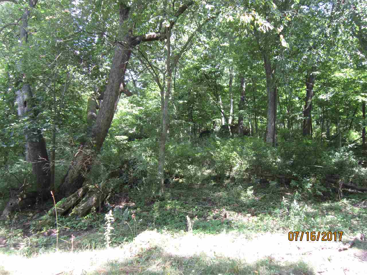 Fischer Road Bernard, IA 52032 - Photo 17 of 24 Gallery Image 17