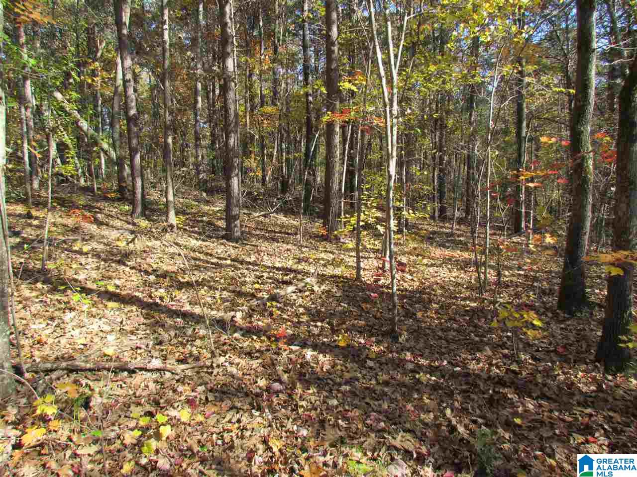 55 Jug Hollow Road Piedmont, AL 36272 - Photo 18 of 19