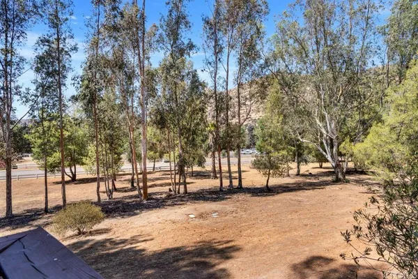 a view of road and trees