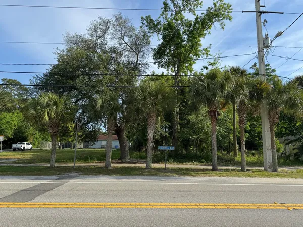 a view of a trees in a yard