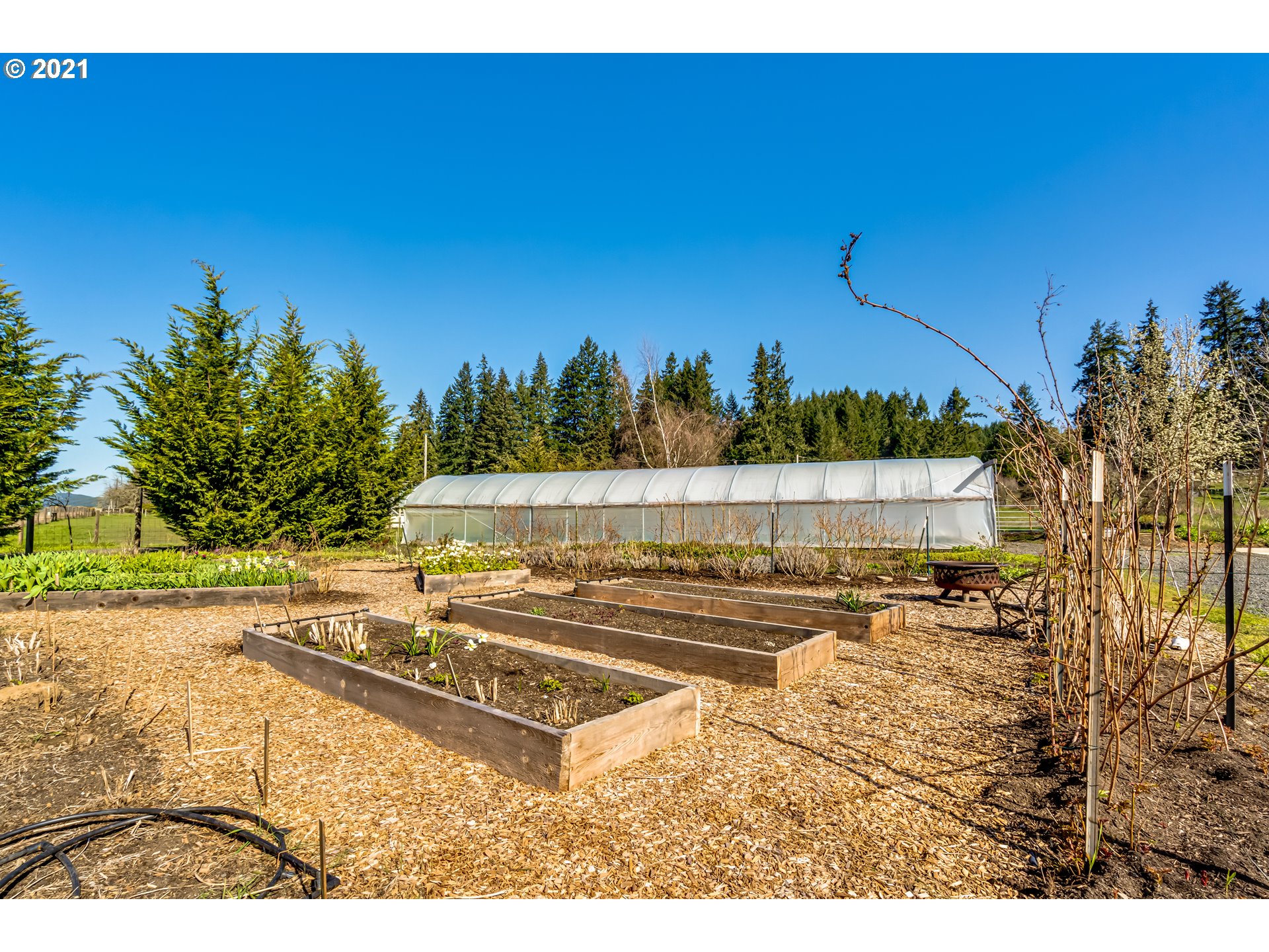 24539 Vaughn Road Veneta, OR 97487 - Photo 26 of 32 Gallery Image 26