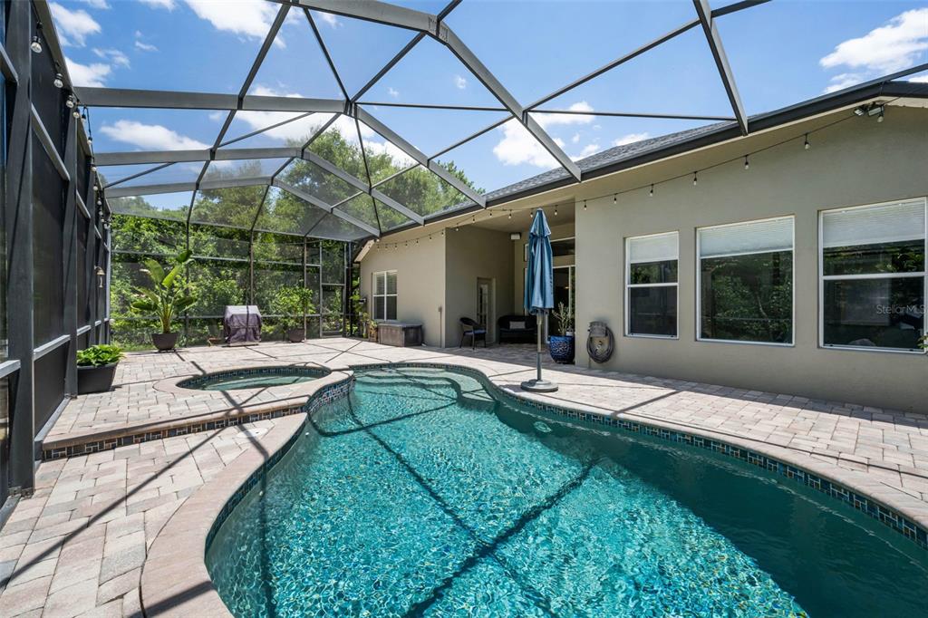 16207 Rambling Road Odessa, FL 33556 - Photo 46 of 76