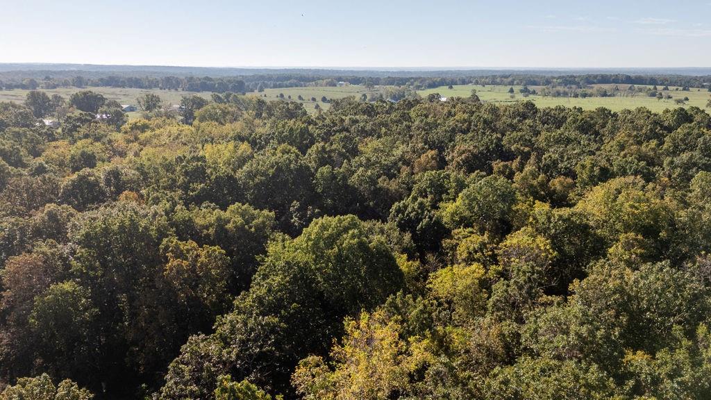 2 Farm Road Verona, MO 65769 - Photo 27 of 29