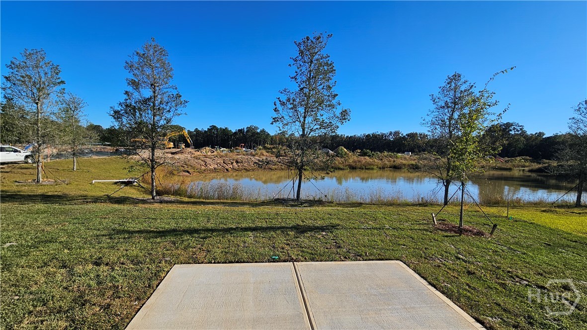 201 Chime Creek Drive Pooler, GA 31322 - Photo 5 of 9 Back Yard with Lagoon View