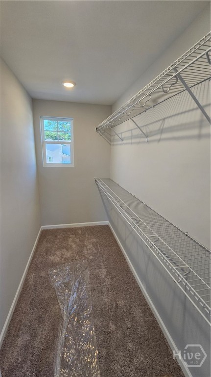 201 Chime Creek Drive Pooler, GA 31322 - Photo 7 of 9 Primary Bedroom Closet